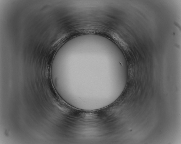 X0000091640165200708230956
