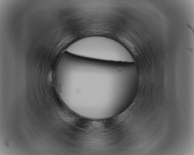 X0000091640166200708230956