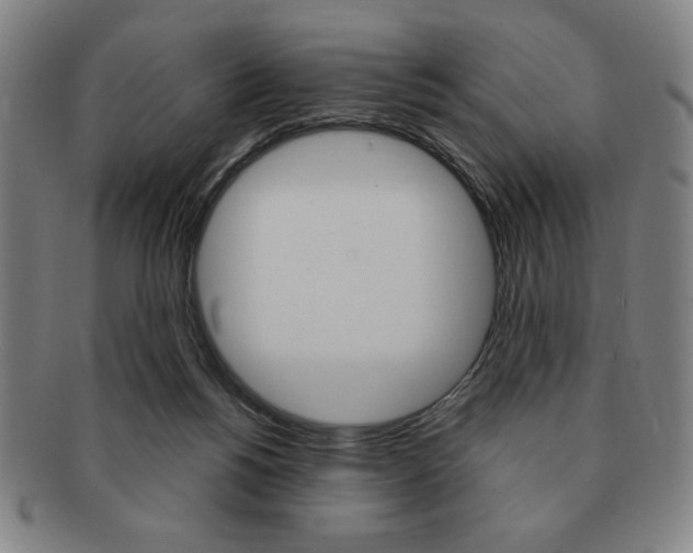 X0000091640168200708230956