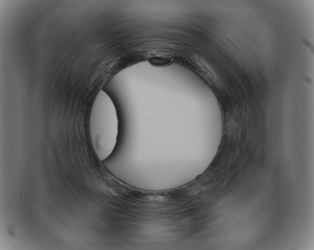 X0000091640169200708230956