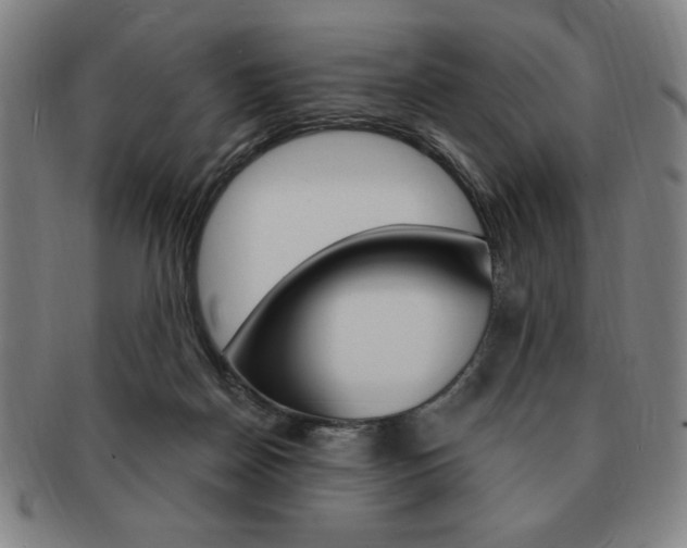 X0000091640170200708230956