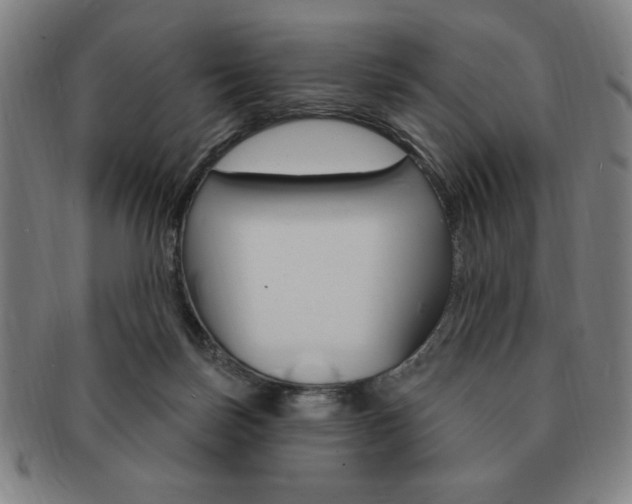 X0000091640171200708230956
