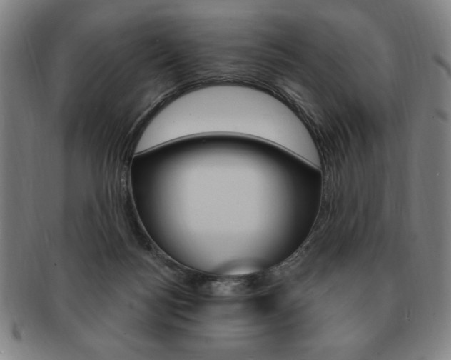 X0000091640172200708230956