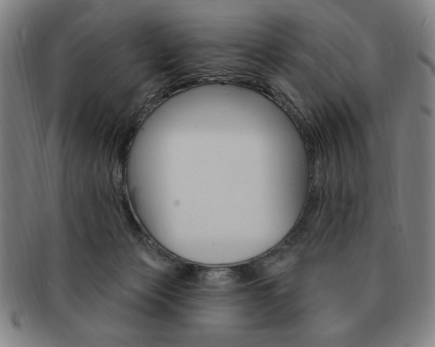 X0000091640173200708230956