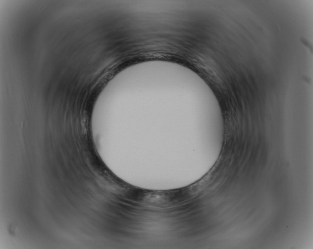 X0000091640174200708230956