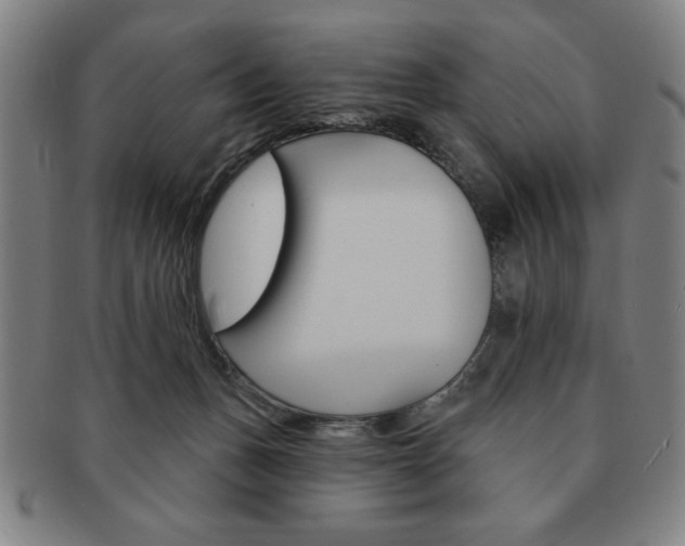 X0000091640175200708230956