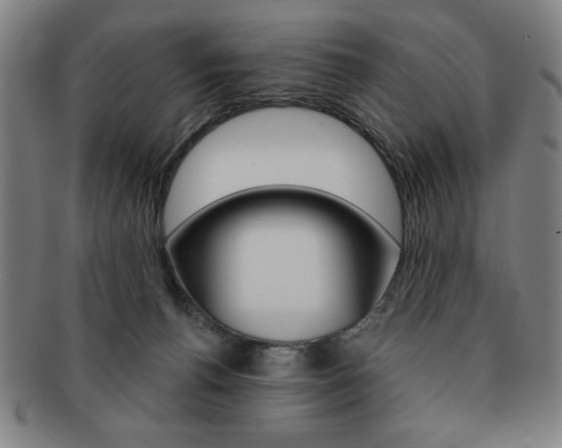 X0000091640176200708230956