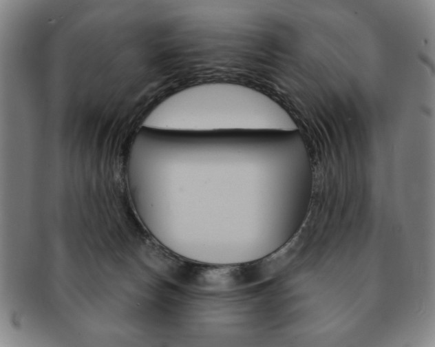X0000091640178200708230956
