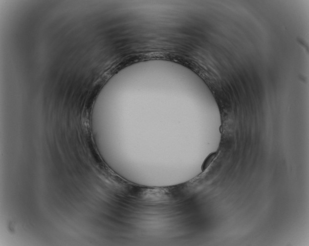 X0000091640179200708230956