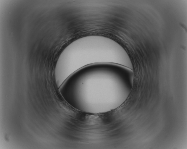 X0000091640180200708230956