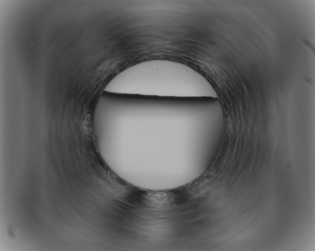 X0000091640181200708230956