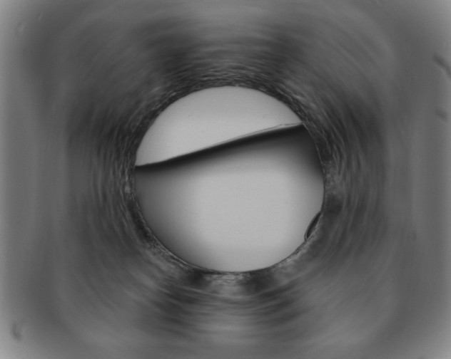 X0000091640182200708230956