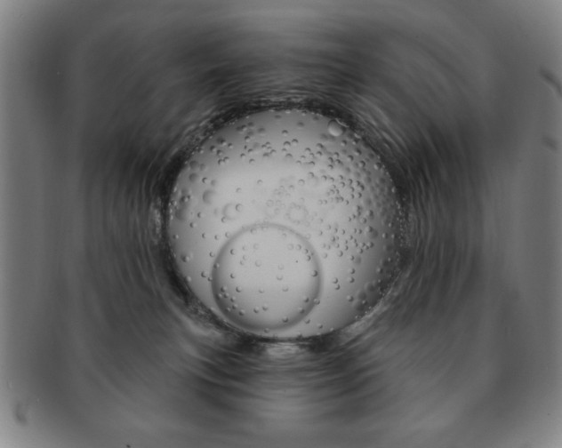 X0000091640183200708230956
