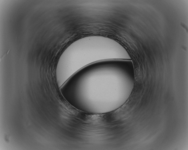 X0000091640184200708230956