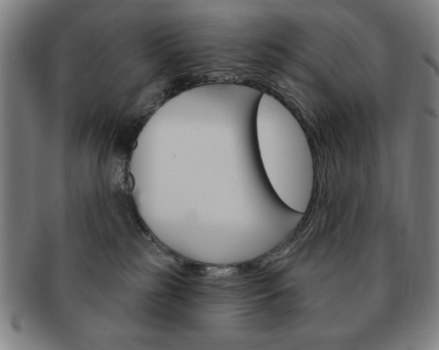 X0000091640185200708230956