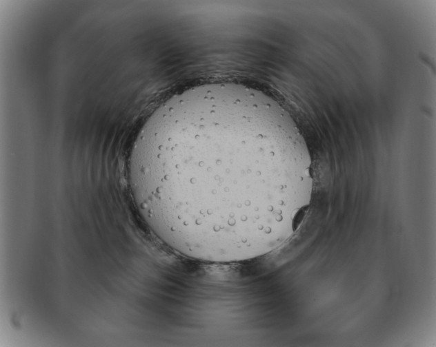 X0000091640187200708230956