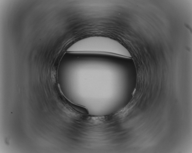 X0000091640188200708230956