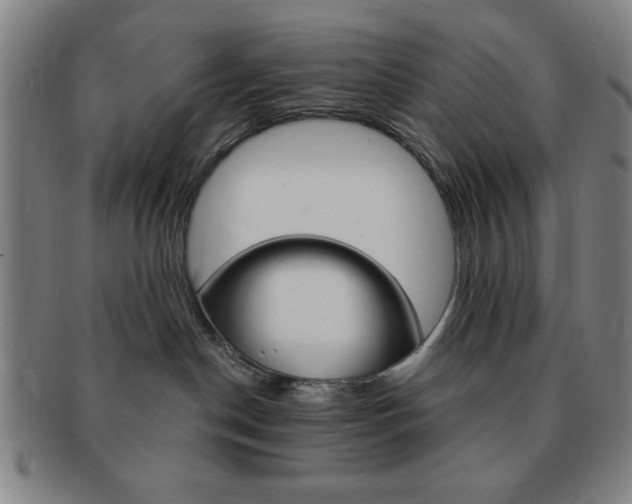 X0000091640190200708230956