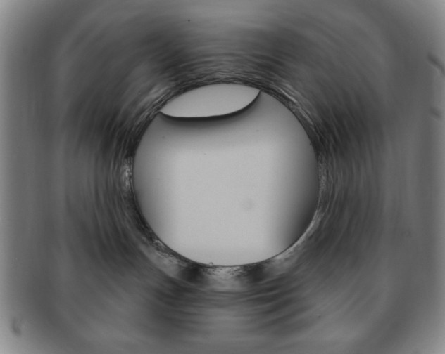 X0000091640191200708230956