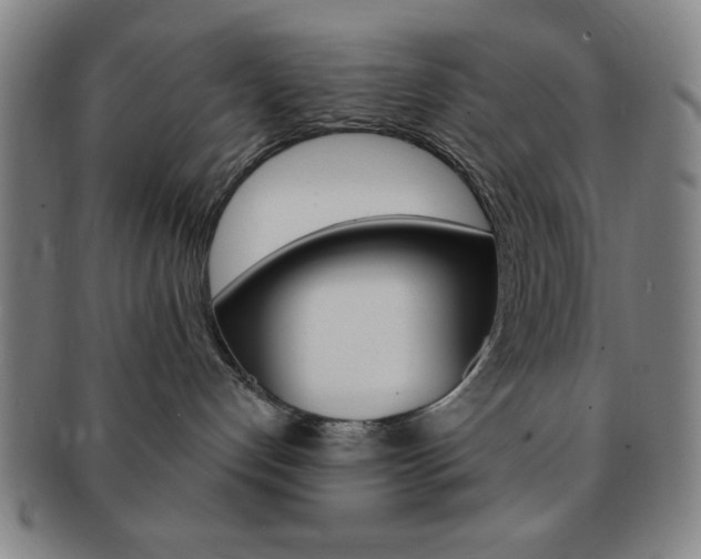 X0000091640192200708230956