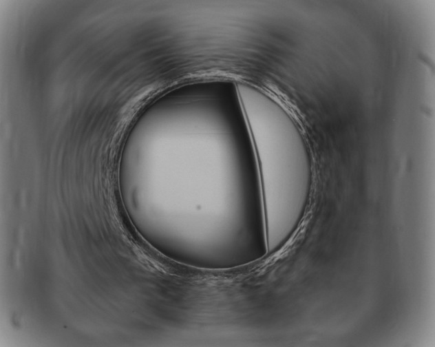 X0000091640193200708230956