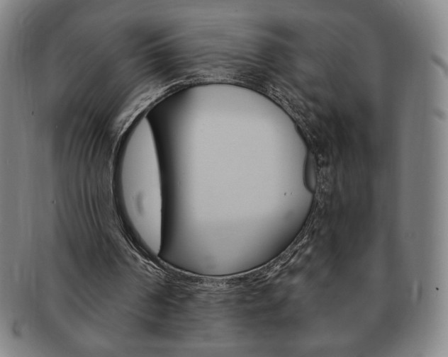 X0000091640194200708230956
