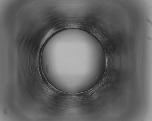 X0000091640195200708230956