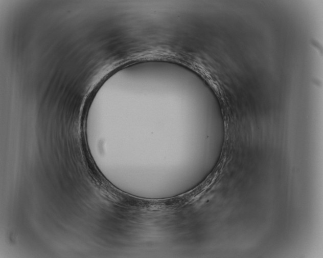 X0000091640196200708230956