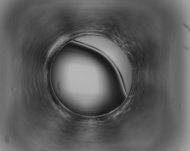 X0000091640197200708230956