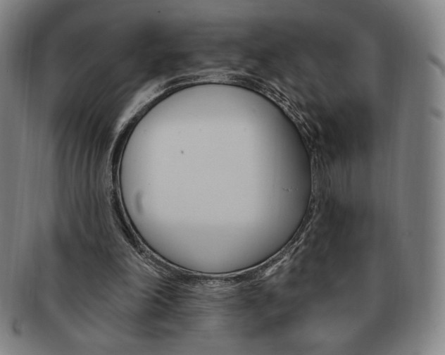 X0000091640198200708230956