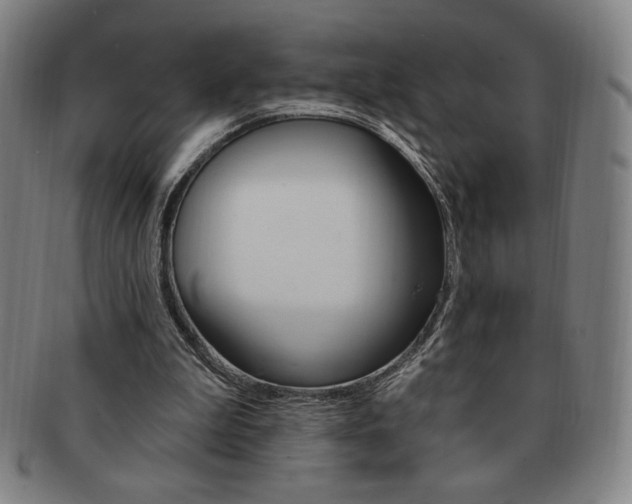 X0000091640199200708230956