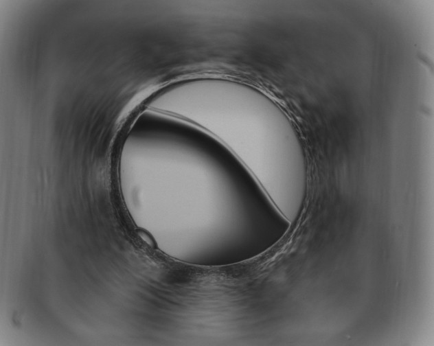 X0000091640200200708230956