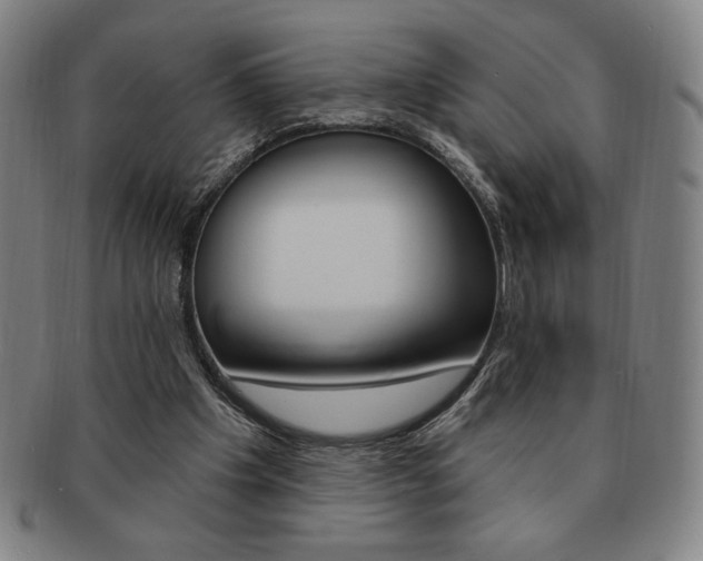 X0000091640201200708230956
