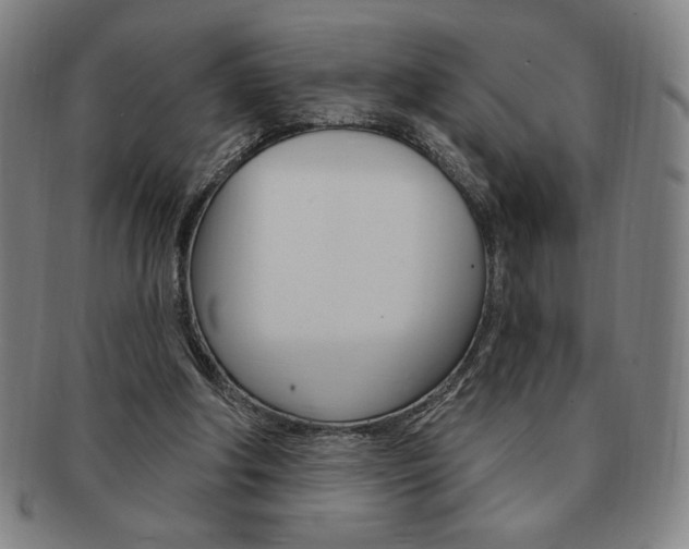 X0000091640202200708230956