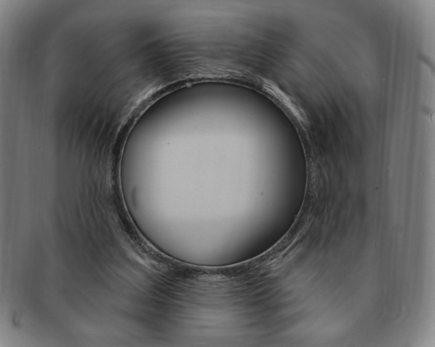 X0000091640203200708230956