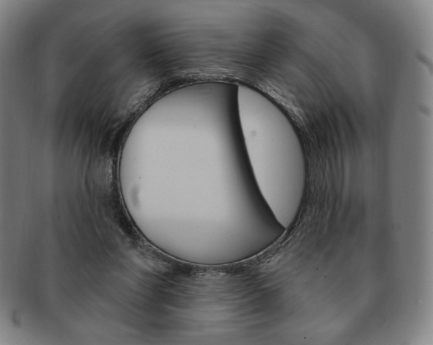 X0000091640206200708230956