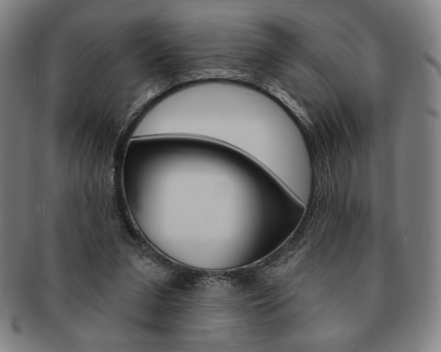 X0000091640207200708230955