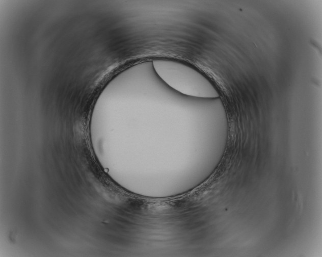 X0000091640208200708230955