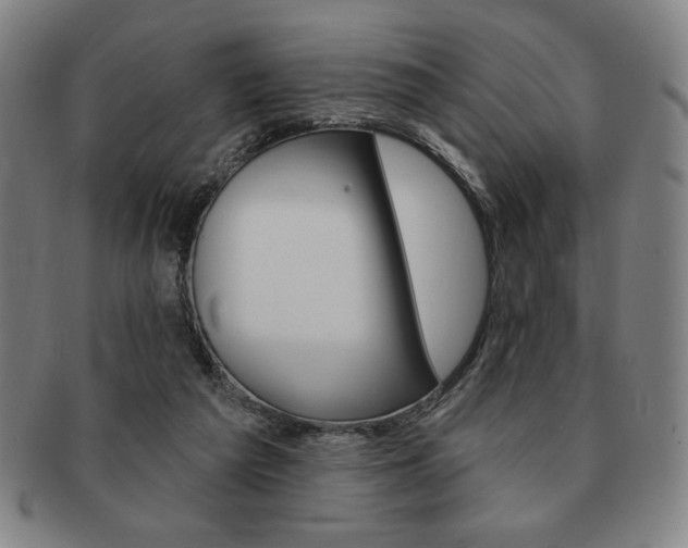 X0000091640209200708230955