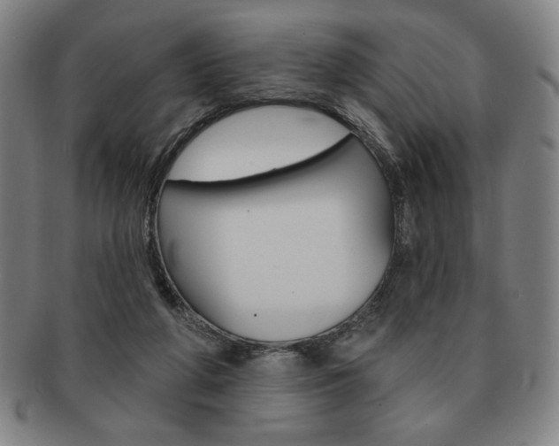 X0000091640210200708230955