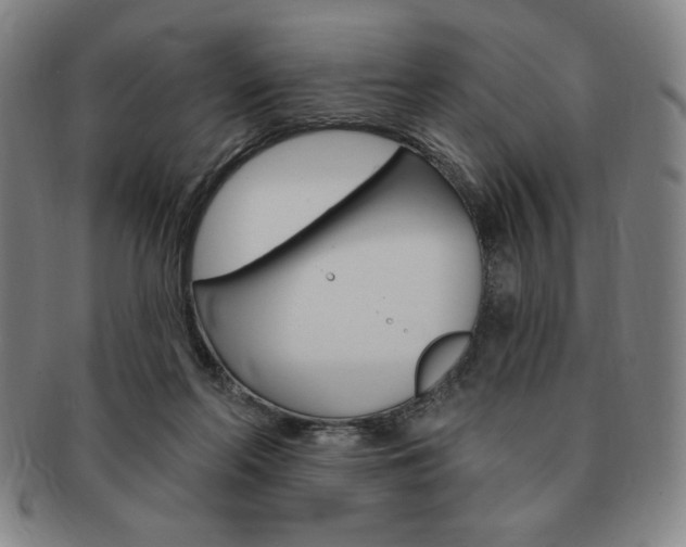 X0000091640214200708230955