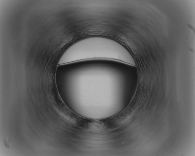 X0000091640215200708230955