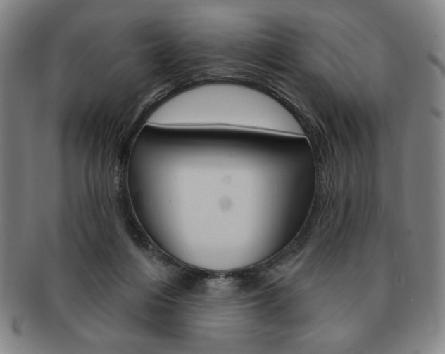 X0000091640216200708230955
