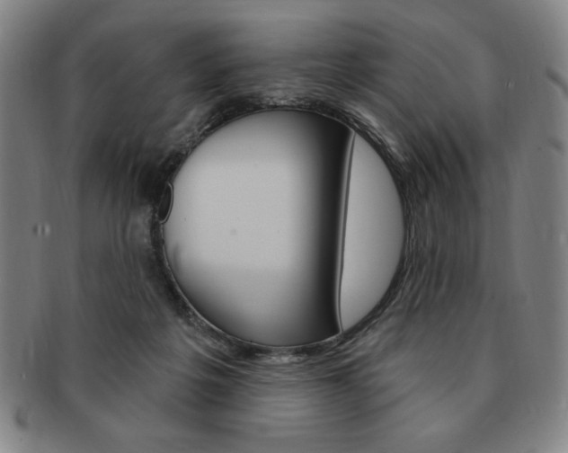 X0000091640217200708230955