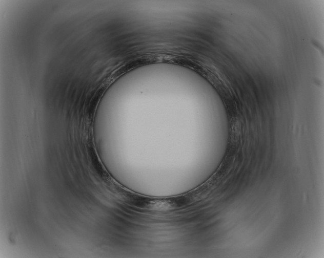 X0000091640218200708230955