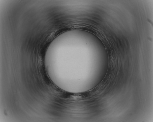 X0000091640220200708230955