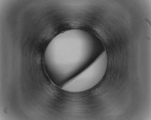 X0000091640221200708230955