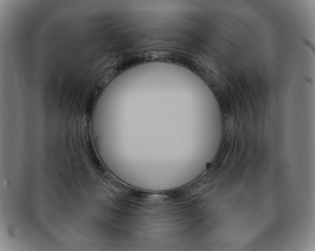 X0000091640222200708230955