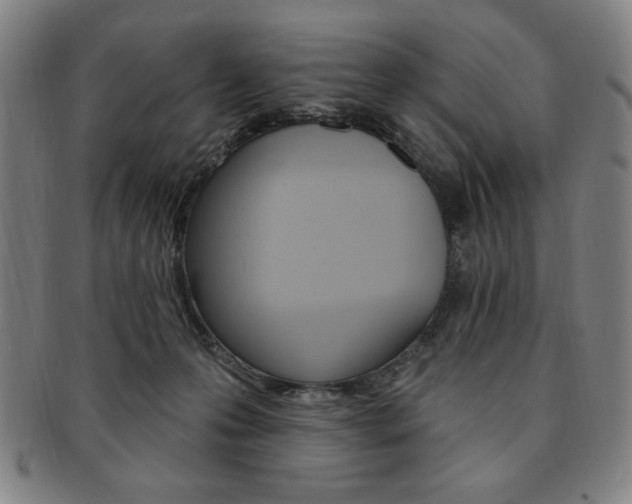 X0000091640223200708230955