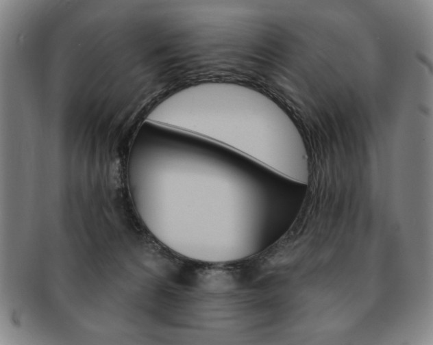 X0000091640224200708230955
